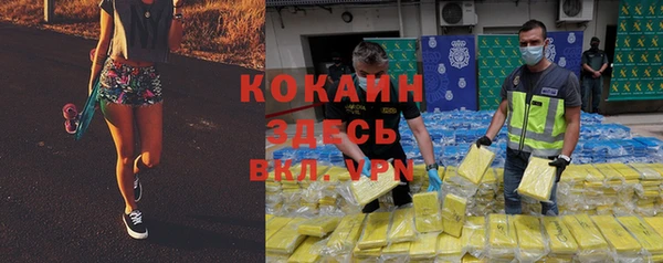 хмурый Каменногорск
