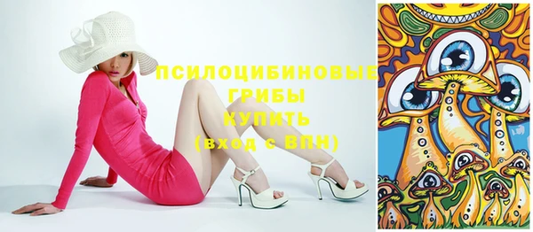 прущая мука Каменка