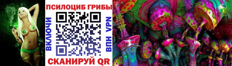 купить   Кировград  mega рабочий сайт  Галлюциногенные грибы MAGIC MUSHROOMS 