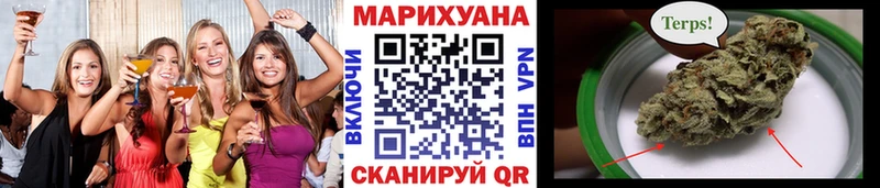 где купить наркоту  Кировград  Бошки марихуана конопля 